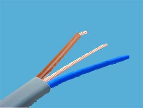6242-6243Y Flat Cable with Earth BS6004